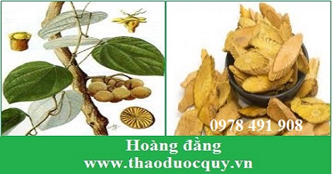 Hoàng Đằng