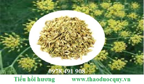 Tiểu hồi/ Tiểu hồi hương Tiểu hồi/ Tiểu hồi hương