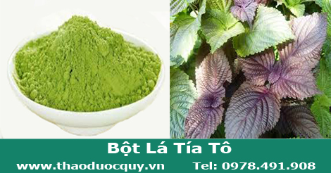 Bột Tía tô/ Tía tô Bột Tía tô/ Tía tô