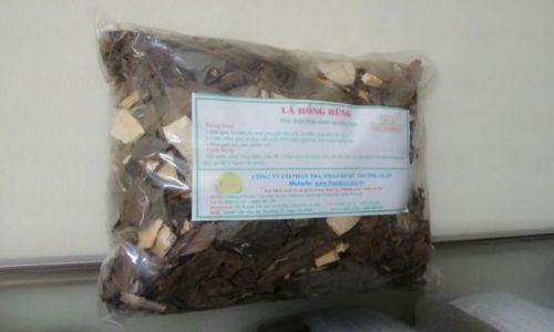 Lá Hồng Rừng trị mụn Lá Hồng Rừng trị mụn
