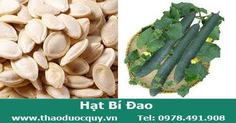Hạt bí đao Hạt bí đao