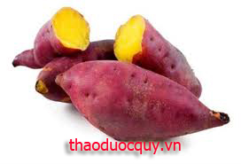 Khoai Lang