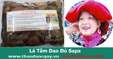 Lá tắm thuốc người Dao Đỏ 1kg Lá tắm thuốc người Dao Đỏ 1kg