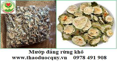 Mướp Đắng rừng | Trái Khổ Qua rừng Mướp Đắng rừng | Trái Khổ Qua rừng