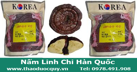 Nấm Linh Chi Đỏ Hàn Quốc Nấm Linh Chi Đỏ Hàn Quốc