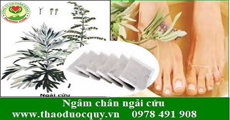 Ngâm chân ngải cứu Ngâm chân ngải cứu