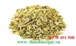Trà dược tăng cường sức khỏe ngày xuân