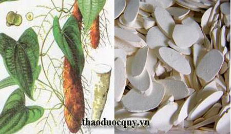 Củ m&agrave;i kh&ocirc;